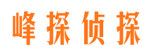 清水河市婚姻调查